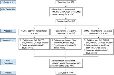 Frontiers | Effect Of High-frequency (5Hz) RTMS Stimulating Left DLPFC ...